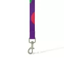 Sublimated Lead Pet Accessory