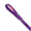 Sublimated Lead Pet Accessory