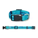 Sublimated Dog Pet Collar