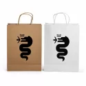 Paper Show Bag