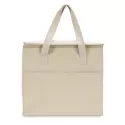 Aden 9.5L Polyester Lunch Cooler Bag