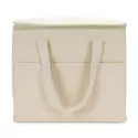 Aden 9.5L Polyester Lunch Cooler Bag