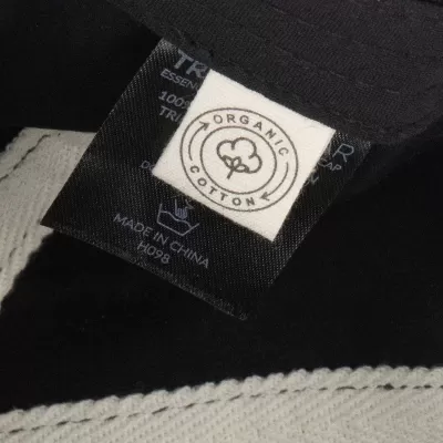 Essence 6 Panel Organic Cotton Cap