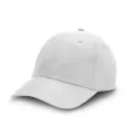 Lane Recycled Polyester Cap