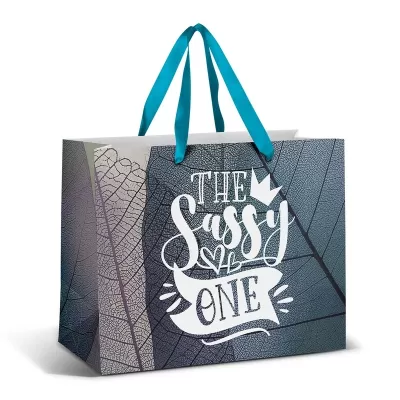 Large 9L Full Colour Ribbon Handle Paper Bag