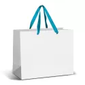 Large 9L Full Colour Ribbon Handle Paper Bag
