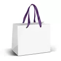 Medium 5L Full Colour Ribbon Handle Paper Bag