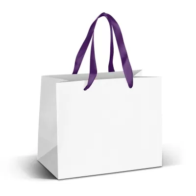 Medium 5L Full Colour Ribbon Handle Paper Bag