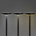 Nouveau Rechargeable Iron Table Lamp