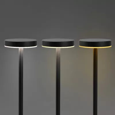 Nouveau Rechargeable Iron Table Lamp