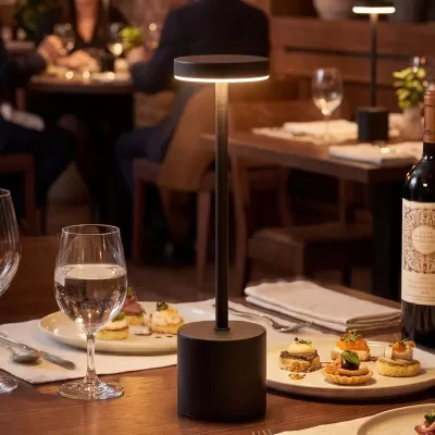 Nouveau Rechargeable Iron Table Lamp
