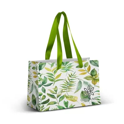 Small 2L Full Colour Ribbon Handle Paper Bag