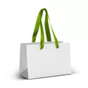 Small 2L Full Colour Ribbon Handle Paper Bag