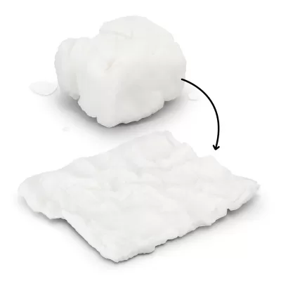 Small Compressed Towel