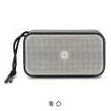 Swiss Peak 10W Bass Speaker
