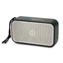 Swiss Peak 10W Bass Speaker