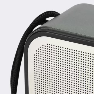 Swiss Peak 10W Bass Speaker