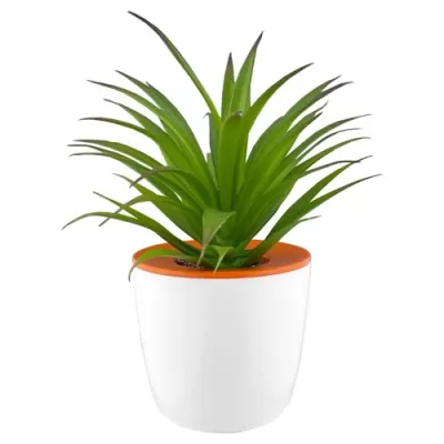Mini Plastic Desk Plant Pot