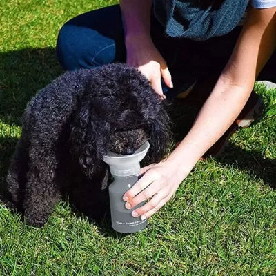 AutoPupCup 414ml Pet Water Bottle