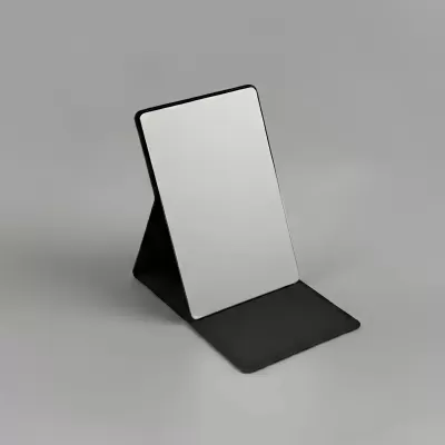Ovela Stainless Steel Compact Mirror