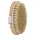 Wood Body Brush