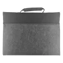 Captian Felt Carry Case