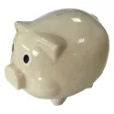 Wheat Straw Money Box