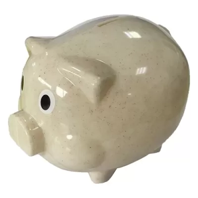 Wheat Straw Money Box