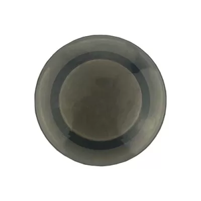 Plastic Button Magnet