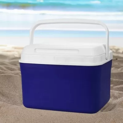 Dunkin Cooler Box