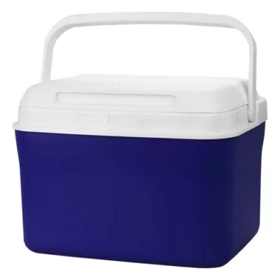 Dunkin Cooler Box