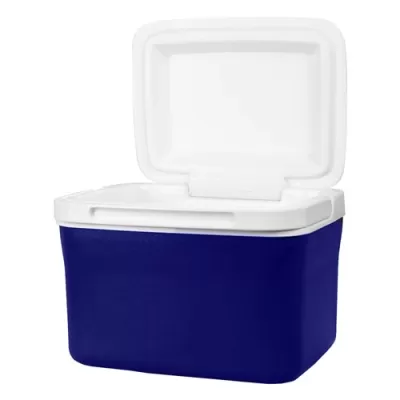 Dunkin Cooler Box