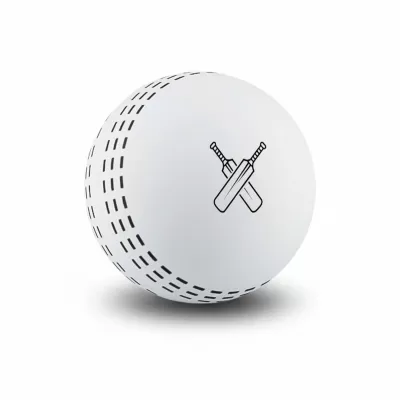 High Bounce Rubber Cricket Ball
