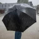 York Umbrella