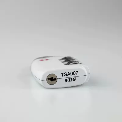 Portable TSA Lock Zinc Alloy Suitcase