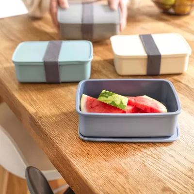 Seasons Dovi Plastic Lunch Box