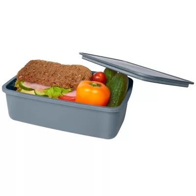 Seasons Dovi Plastic Lunch Box