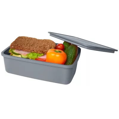 Seasons Dovi Plastic Lunch Box