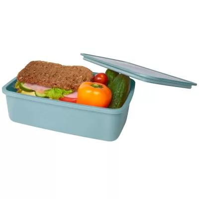 Seasons Dovi Plastic Lunch Box