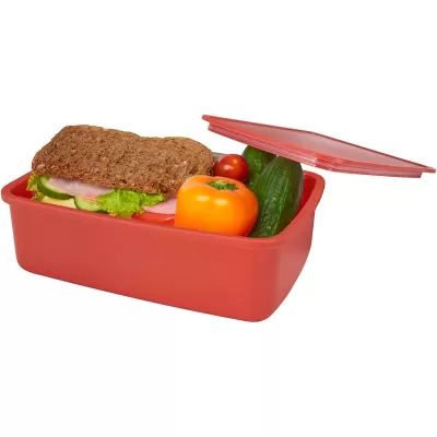 Seasons Dovi Plastic Lunch Box