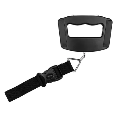 Luggage ABS Scale