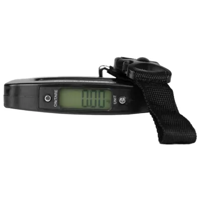 Luggage ABS Scale