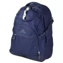 High Sierra Access Light Poly Backpack