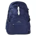 High Sierra Access Light Poly Backpack