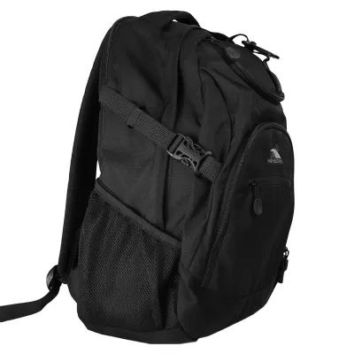 High Sierra Access Light Poly Backpack