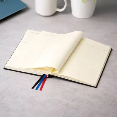 JournalBook Alder 365 Page Poly Diary
