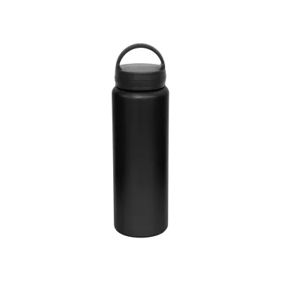 Austin 1L Carry Lid Stainless Steel Drink Bottle