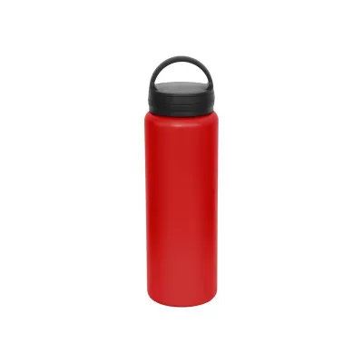 Austin 1L Carry Lid Stainless Steel Drink Bottle