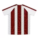 Mens Custom Active Polyester V-Neck T-Shirt