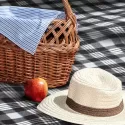 Dakota Polyester Picnic Blanket